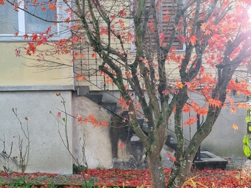 2319 judarchitekten 2319 judarchitekten